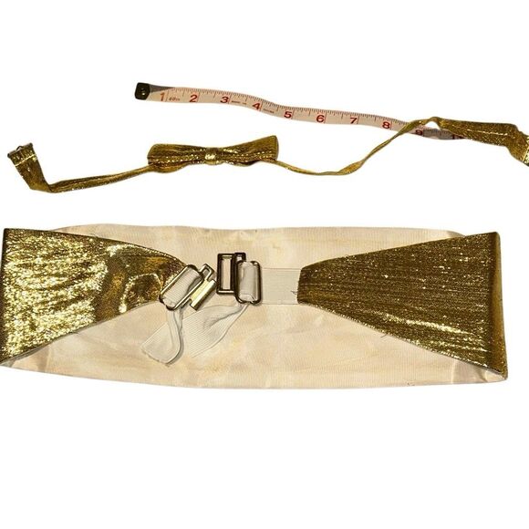 Prom/wedding Gold cumberbund, purse, & Tie - Picture 2 of 10